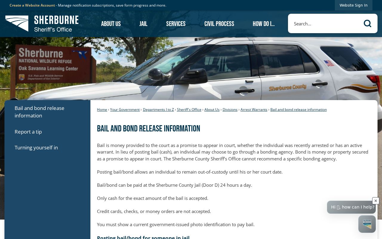 Sherburne County bail and bond release page for arrest warrant records